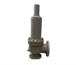 PRESSURE SAFETY VALVE