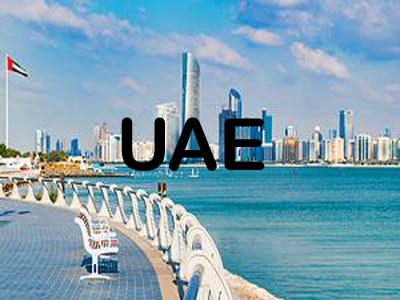 Leser Type Safety Relief Valve Supplier